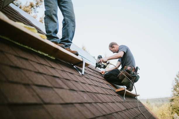 Best Roof Leak Repair  in Evanston, WY